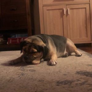 Meet your Posher, Nicholas